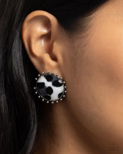 Load image into Gallery viewer, Cowhide Couture - Black
